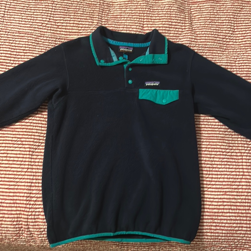Patagonia Synchilla pullover